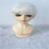 JD293 8-9inch 21-23CM Baby Cut Mohair Doll Wigs 1/3 SD Short Cut BJD Hair (Ivory White) view 1