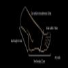 PURFWOG Silicone Feet Model, Realistic Silicone Mannequin Feet, Foot Model for Jewelry Sandal Shoe Socks Display Art Sketch view 4