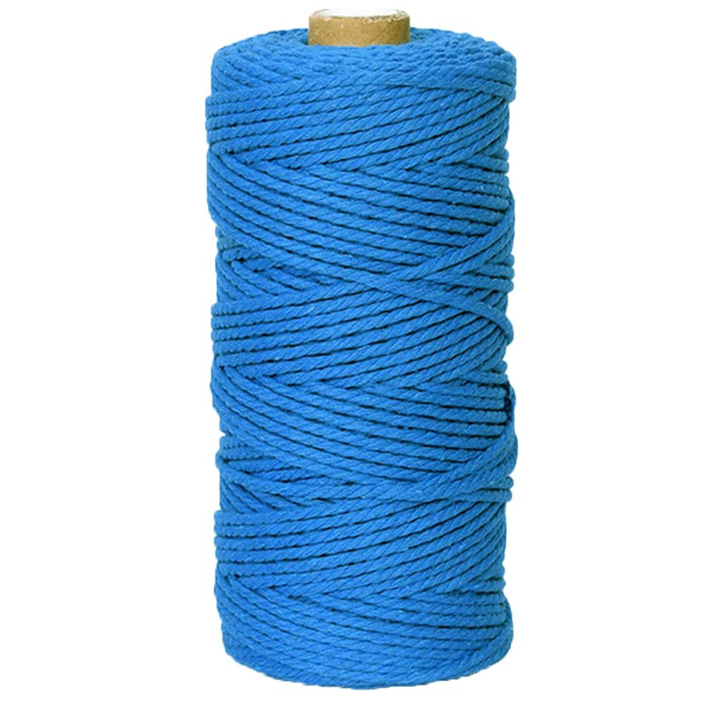 Peacock Blue Macrame Cord Craft Cord Cotton Rope Twisted Macrame Yarn DIY Knitting Plant Hangers Wall Hangings Christmas Wedding Decor 3mm x 328 Feet