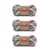 Red Heart Scrubby Jolly Yarn - 3 Pack of 85g/3oz - Polyester - 4 Medium (Worsted) - 78 Yards - Knitting/Crochet view 1