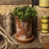 Sizzix Thinlits Die Set 11PK Modern Floristry by Tim Holtz | 665853 |Chapter 2 2022 view 3