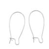 100pcs Adabele Hypoallergenic Tarnish Resistant Earring Hooks Kidney Ear Wire 36mm Long Sterling Silver Plated Brass for DIY Craft Earrings Jewelry Making BF187-36 view 1