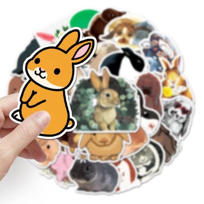 Cute 50 PCS Cartoon Rabbit Stickers Bunny Decals Waterproof Vinyl Assorted Colorful Pack for Kids Teens DIY Skateboard,Water Bottle,Phone Case,Cups