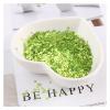 HANRUO 10g Ultrathin Mix 2.5mm 4mm Star Sequins Nail Glitter Paillettes Silver PET Sequin Nails Manicure Material (Color : 6 Light Green, Size : Mix 2.5-4mm) view 1