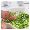 HANRUO 10g Ultrathin Mix 2.5mm 4mm Star Sequins Nail Glitter Paillettes Silver PET Sequin Nails Manicure Material (Color : 6 Light Green, Size : Mix 2.5-4mm) view 3