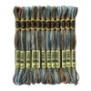 Magical Color Variegated Cross Stitch Thread Color Variations Embroidery Floss Pack, 8.7-Yard, Paris, Pack of 12 Skeins view 1