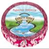Country Brook Design - Pink Sharks Lite Tape (1/2 Inch, 5 Yards) view 1