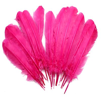 10-12 inch Turkey Quill Feathers 20 pcs, Primary Wing Quill Large Feathers Craft Costume, Feather Supplier (Candy Pink Color)