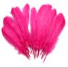 10-12 inch Turkey Quill Feathers 20 pcs, Primary Wing Quill Large Feathers Craft Costume, Feather Supplier (Candy Pink Color) view 1