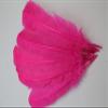 10-12 inch Turkey Quill Feathers 20 pcs, Primary Wing Quill Large Feathers Craft Costume, Feather Supplier (Candy Pink Color) view 2