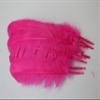 10-12 inch Turkey Quill Feathers 20 pcs, Primary Wing Quill Large Feathers Craft Costume, Feather Supplier (Candy Pink Color) view 3