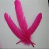 10-12 inch Turkey Quill Feathers 20 pcs, Primary Wing Quill Large Feathers Craft Costume, Feather Supplier (Candy Pink Color) view 4