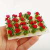 NWFashion 40PCS Miniature Colorful Flower Cluster Groups Grass Tufts Miniature Static Scenery Model (White) view 4
