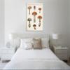 Jaxson Rea "Mushroom Chart III Light Gallery Wrapped Canvas by Wild Apple Portfolio, 36" x 45" view 2