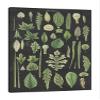 Jaxson Rea "Assortment of Leaves II Charcoal Crop Gallery Wrapped Canvas by Wild Apple Portfolio, 16" x 24" view 1