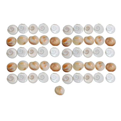 HANS PRODUCT Gomti Chakra (1.5 cm, Brownish) -108 Pieces