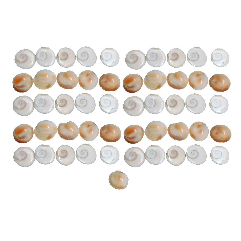 HANS PRODUCT Gomti Chakra (1.5 cm, Brownish) -108 Pieces