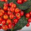 Factory Direct Craft Artificial Orange and Yellow Berry Floral Decor view 3