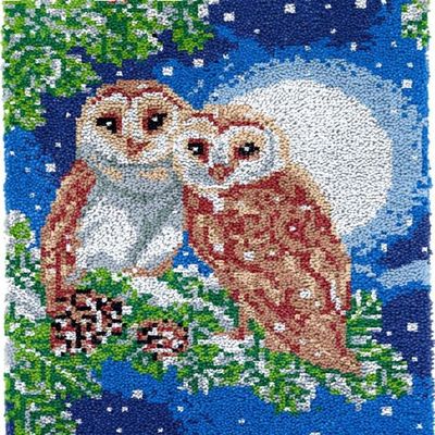 Rug Making Latch Hooking Kit | Moon Owls 52x38cm / Blank Canvas