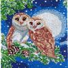 Rug Making Latch Hooking Kit | Moon Owls 52x38cm / Blank Canvas view 1