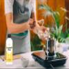 Hznxolrc 5.8 oz Liquid Germall Plus Preservative, Oil Soluble Natural Preservative, Germall Plus Suitable for Making Soap, Conditioners, Lotion, Creams and More view 4
