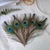 THARAHT 120pcs Peacock Feather Natural in Bulk 10-12 inch 25-30cm for Craft Vase Wedding Home Party Christmas Day Decoration Peacock Feathers view 3
