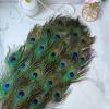 THARAHT 120pcs Peacock Feather Natural in Bulk 10-12 inch 25-30cm for Craft Vase Wedding Home Party Christmas Day Decoration Peacock Feathers view 4