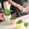 Creative Silicone Candle Vessels Mold Handmade Concrete Candle Jar Mould Round Succulent Flower Pot Making Tool (SH0874) view 4