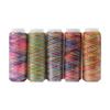Embroidery Thread 5 Pack Variegated Multicolor Gradient Sewing Quilting Spools High Strength Rainbow Color Thread for Garment Repair DIY Crafts Home Use Travel Emergency view 1