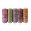 Embroidery Thread 5 Pack Variegated Multicolor Gradient Sewing Quilting Spools High Strength Rainbow Color Thread for Garment Repair DIY Crafts Home Use Travel Emergency view 4