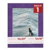 16x20 Mat Bevel Cut for 12x16 Photos - Acid Free Purple Crocus Suede Precut Matboard With Backing Board and Crystal Clear, Self Seal Photo Mat Bag - For Pictures, Photos, Framing - 4-ply Thickness view 1