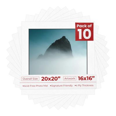 Poster Palooza Pack of TEN 20x20 Mats Bevel Cut for 16x16 Photos - Acid Free White with Black Core Precut Matboards For Pictures, Photos, Framing - 4-ply Thickness