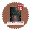 Poster Palooza Pack of TEN 8x11 Mats Bevel Cut for 6x9 Photos - Acid Free Football Texture Precut Matboards For Pictures, Photos, Framing - 4-ply Thickness view 1