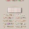 YG PLUS SEVENTEEN Face The Sun 4th Album Carat Version Contents+Tracking Sealed (Random) view 3