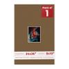Poster Palooza 24x36 Mat Bevel Cut for 8x10 Photos - Acid Free Aged Oak Brown Precut Matboard - For Pictures, Photos, Framing - 4-ply Thickness view 1