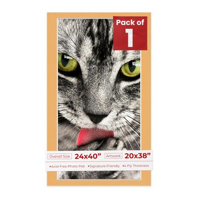 Poster Palooza 24x40 Mat Bevel Cut for 20x38 Photos - Acid Free Topaz Orange Precut Matboard - For Pictures, Photos, Framing - 4-ply Thickness