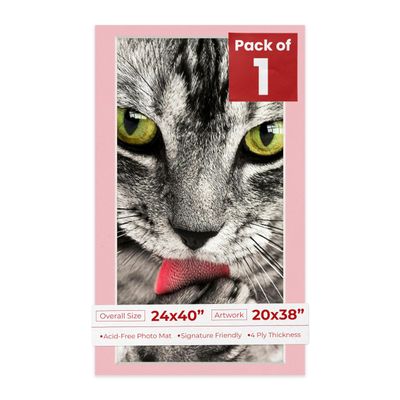 Poster Palooza 24x40 Mat Bevel Cut for 20x38 Photos - Acid Free Pink Precut Matboard With Backing Board and Crystal Clear, Self Seal Photo Mat Bag - For Pictures, Photos, Framing - 4-ply Thickness