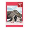 13x19 Mat Bevel Cut for 12x14 Photos - Acid Free Cardinal Red Precut Matboard With Backing Board and Crystal Clear, Self Seal Photo Mat Bag - For Pictures, Photos, Framing - 4-ply Thickness view 1