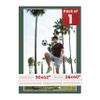 30x42 Mat Bevel Cut for 26x40 Photos - Acid Free Hunter Green Precut Matboard With Backing Board and Crystal Clear, Self Seal Photo Mat Bag - For Pictures, Photos, Framing - 4-ply Thickness view 1