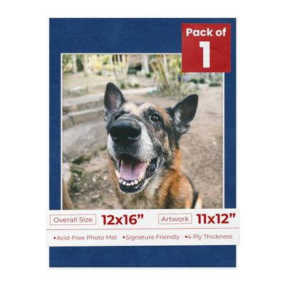 Poster Palooza 12x16 Mat Bevel Cut for 11x12 Photos - Acid Free Brooke Blue Suede Precut Matboard - For Pictures, Photos, Framing - 4-ply Thickness