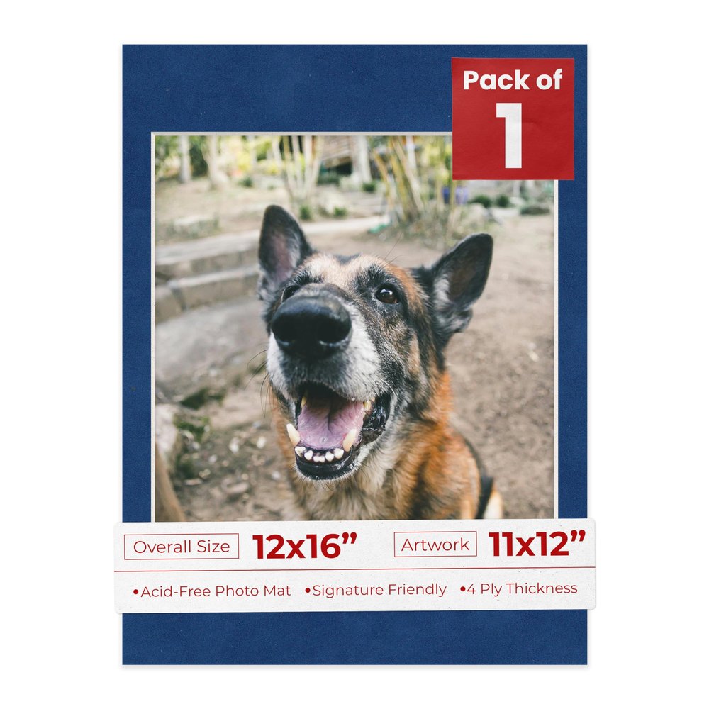 Poster Palooza 12x16 Mat Bevel Cut for 11x12 Photos - Acid Free Brooke Blue Suede Precut Matboard - For Pictures, Photos, Framing - 4-ply Thickness