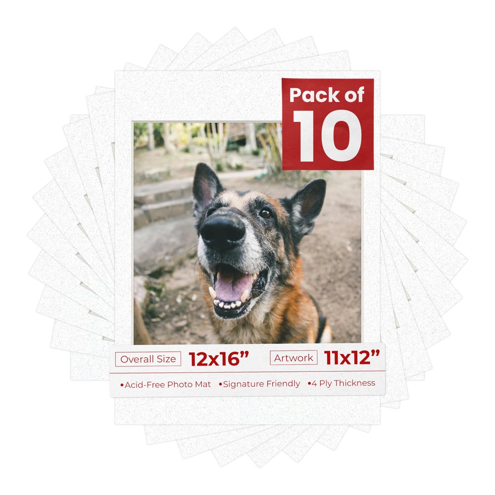 Pack of Ten Acid Free 12x16 Mats Bevel Cut for 11x12 Photos - Oyster Shell White Precut Matboards With Backing Boards and Self Seal Photo Mat Bags For Pictures, Photos, Framing - 4-ply Thickness