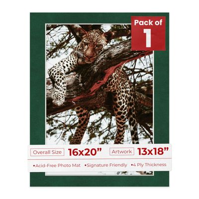 Poster Palooza 16x20 Mat Bevel Cut for 13x18 Photos - Acid Free Green Suede Precut Matboard - For Pictures, Photos, Framing - 4-ply Thickness