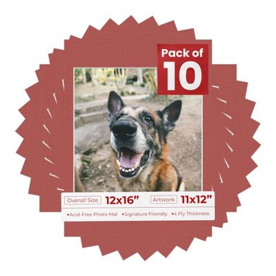 Pack of Ten Acid Free 12x16 Mats Bevel Cut for 11x12 Photos - Brick Red Precut Matboards With Backing Boards and Self Seal Photo Mat Bags For Pictures, Photos, Framing - 4-ply Thickness