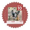 Pack of Ten Acid Free 12x16 Mats Bevel Cut for 11x12 Photos - Brick Red Precut Matboards With Backing Boards and Self Seal Photo Mat Bags For Pictures, Photos, Framing - 4-ply Thickness view 1