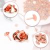JANYUN 120 Pairs Rose Gold Butterfly Clutch Tie Tacks Pin Back Metal Locking Replacement with 4mm Width Blank Pins for Craft Making (4mm, Rose Gold) view 4