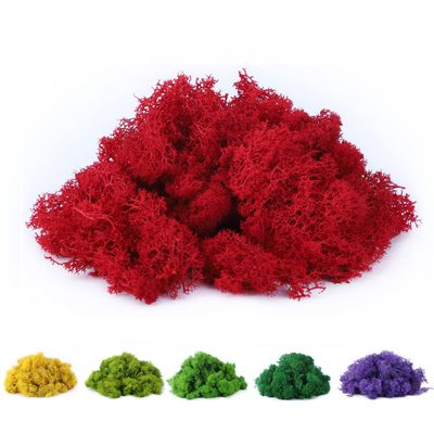 Fake Moss Preserved Reindeer Moss 3.5 OZ for Potted Plants, Arts and Crafts, Terrariums, Wall Decor, Centerpieces, Fairy Gardens, Wedding, Floral Project (Red)