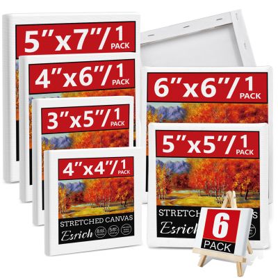 6Packs Mini Stretched Canvases for Painting with 3x5, 4x4, 4x6, 5x5, 5x7, 6x6, Painting Canvas for Oil & Acrylic Paint.