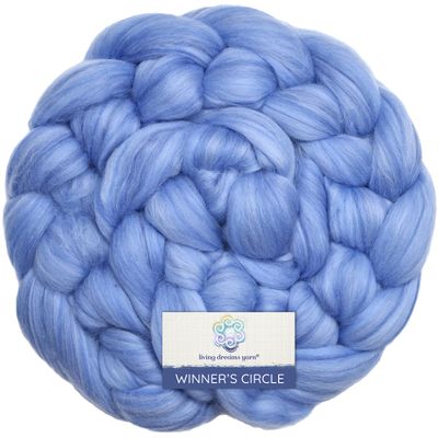 Winner's Circle Superfine Merino Fiber for Spinning & Felting. Super Soft Combed top roving in Stunning Color Blends, Blue Sky