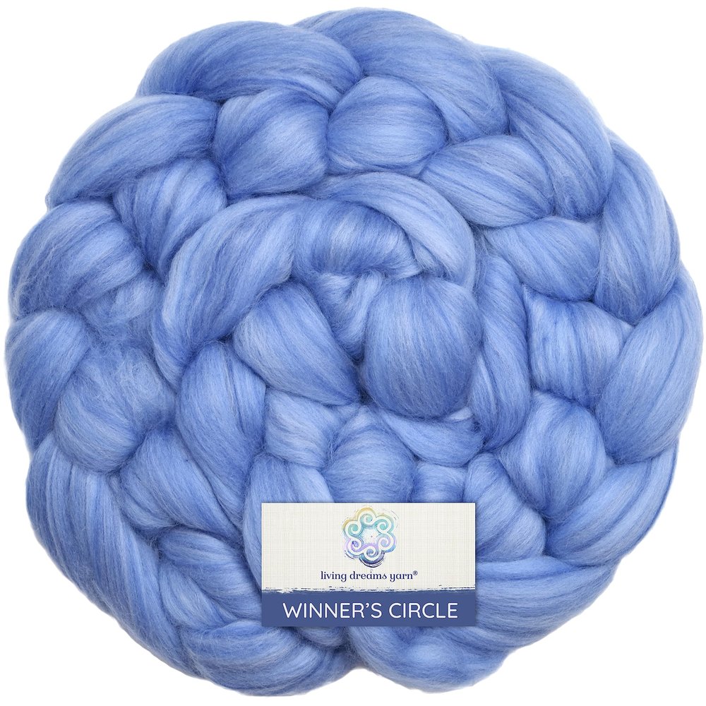 Winner's Circle Superfine Merino Fiber for Spinning & Felting. Super Soft Combed top roving in Stunning Color Blends, Blue Sky